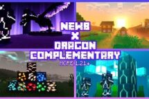 Newb X Dragon Shader-thumbnail