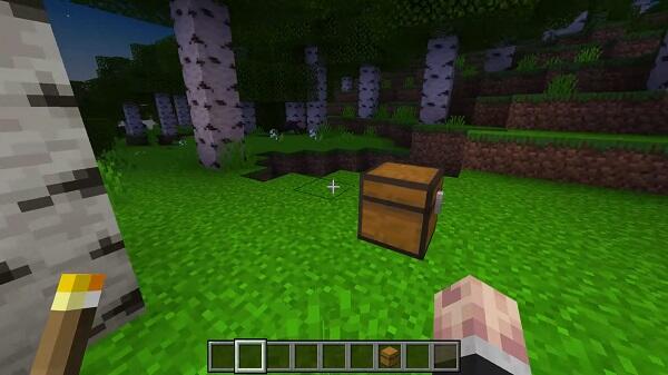 System Dynamic Light addon minecraft